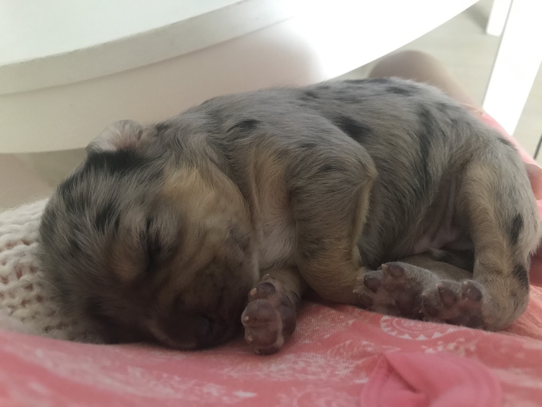 1CD73F89-FFE6-479E-84A0-0EF5BCAB8D6E