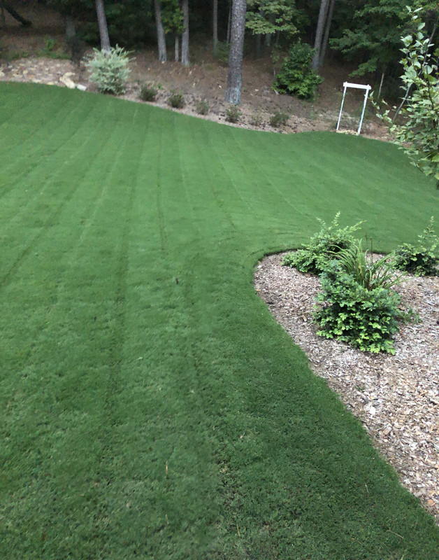 s5iawRhtR8GBe15Hxz1f Q