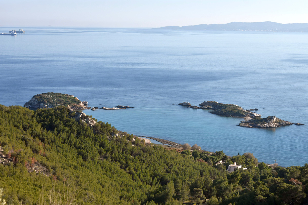 Περιστέρια (2)