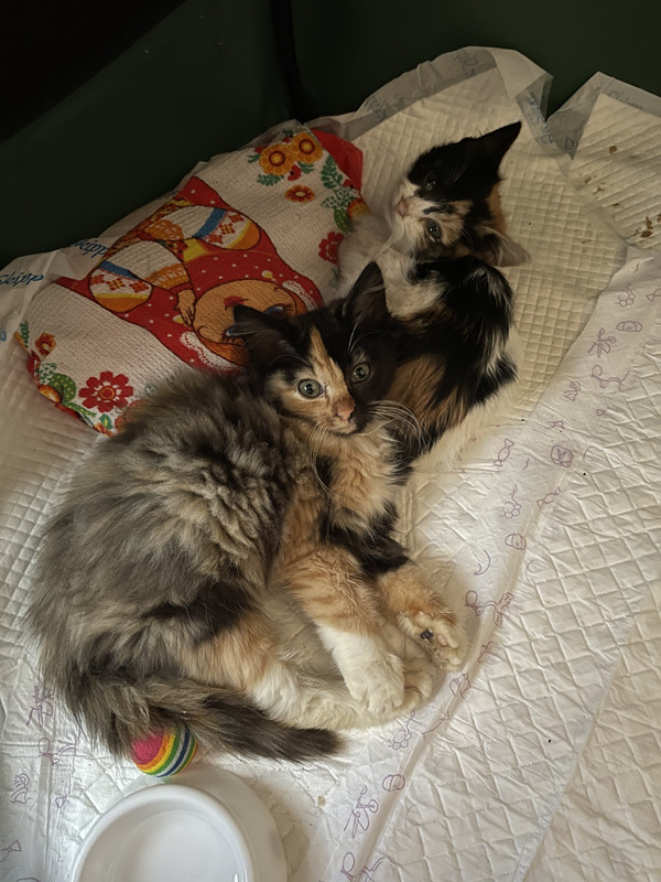 304B5A4D-3CD3-462D-8134-5BD618CC240E