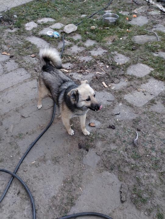 IMG 20251227 093826560