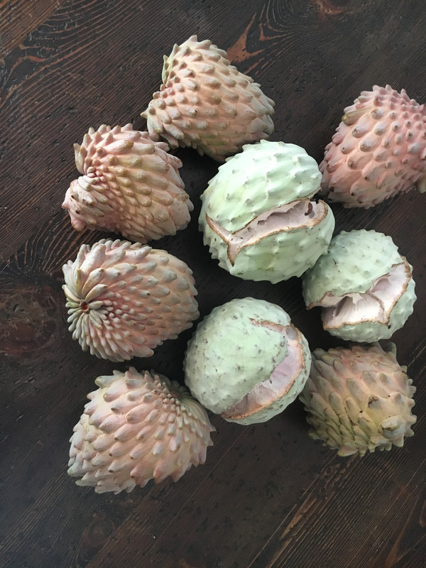 5D1864FE-36CB-4767-BAD0-803F09512C7B