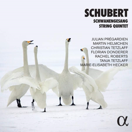 fe67f72e 94df 4439 9051 7c4dc125dff9 - VA - Schubert: Schwanengesang & String Quintet (2021)