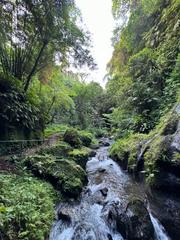 6 Aviones, 3 barcos y 2 trenes, empezando en Estambul y terminando Kuala Lump - Blogs de Indonesia - TERCERA PARADA: BALI (113)