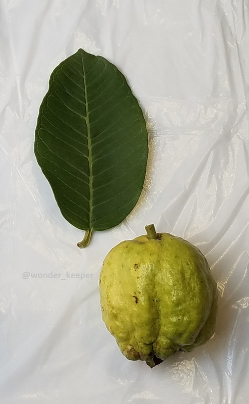 20221228_135956(0) (1)