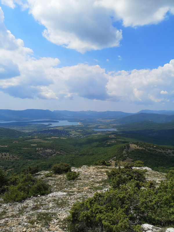 15646477931702150784413956127031