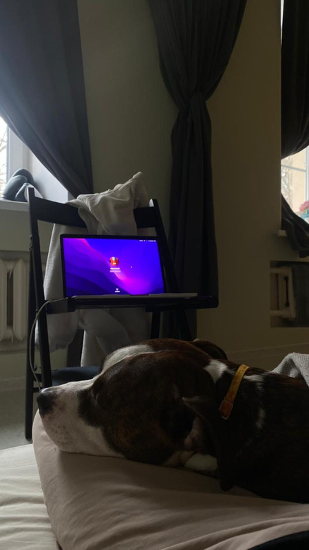 88F0A0D7-119E-4DF2-9F64-90D032E48CE5