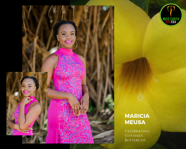 CANDIDATAS A MISS TIERRA GUYANA 2019.  FINAL 15 DE JUNIO 70672053-8759-44-A0-BCB1-894-B43-CED1-AE