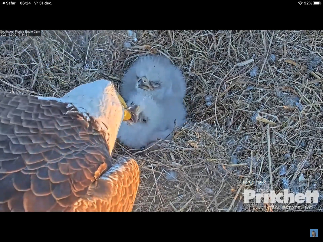 7B12BB79-4CEF-4C5E-A340-E2981123A871