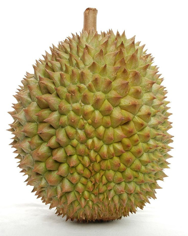 FORTUN365 Pola Gacor: Perkalian Tanpa Henti - WooCommerce eCommerce