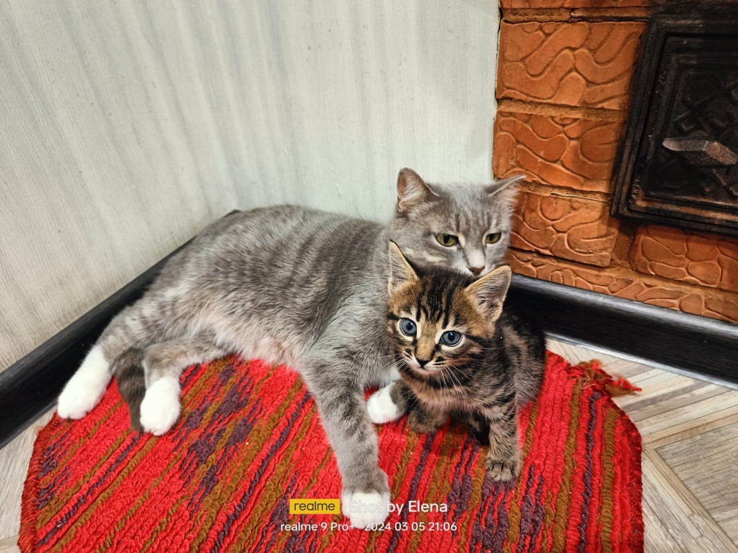 WhatsApp Image 2024-03-06 at 06.06.16 (2)