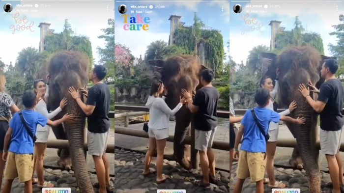 Momen seru keluarga Oka Antara saat kunjungi kebun binatang populer di Bali bareng anak-anak.