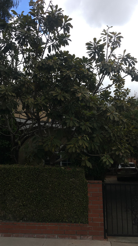 62204350-F5C5-4E53-B029-33405260B0EE