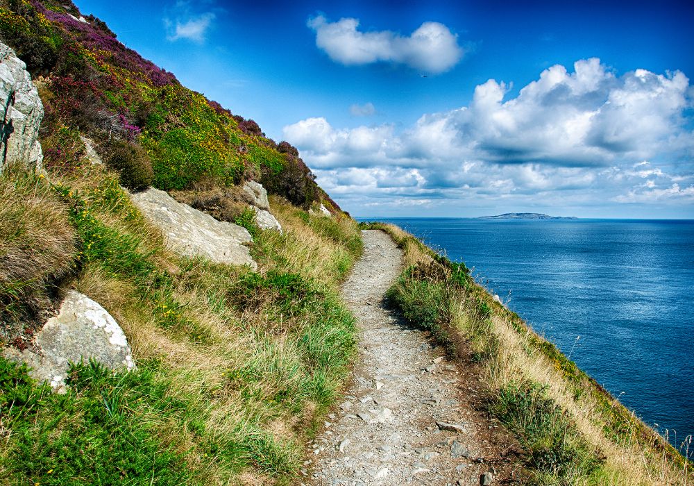 https://i.postimg.cc/fRnvZLfJ/Howth-Cliff-Walks.jpg