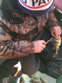 CD14D99B-2278-4BA2-B8FE-FF537ED4B121