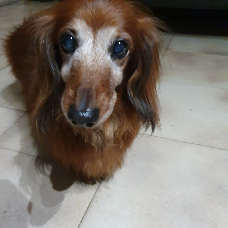 [Image: 20210104-210909.jpg]