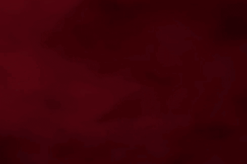 ezgif-2f4c2a5c35bdaae1.gif