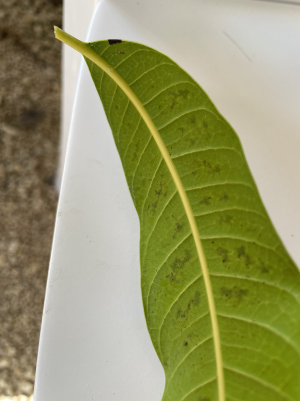 991BB472-D650-4FEF-A5B4-0ECF3D183500