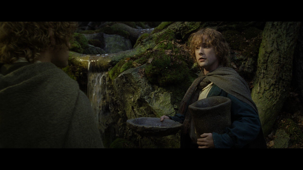 The Lord of the Rings- The Two Towers (EXT.) PT. 1.mkv_snapshot_01.09.17_[2020.12.08_18.09.08]