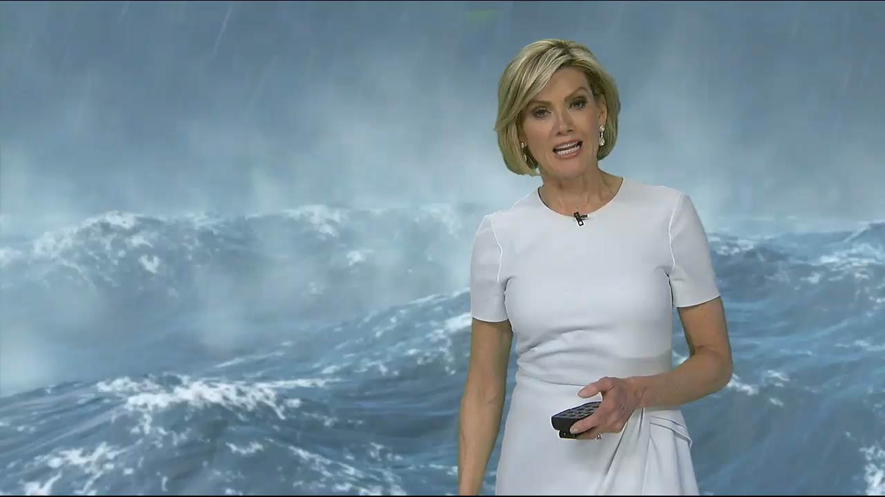 Action News 11 PM_20240409_04000435.ts_snapshot_22.56.580