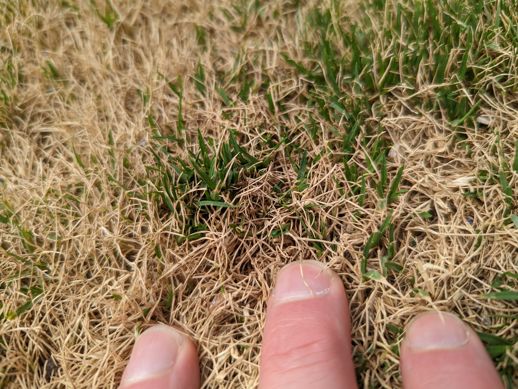 PXL_20220523_200127132