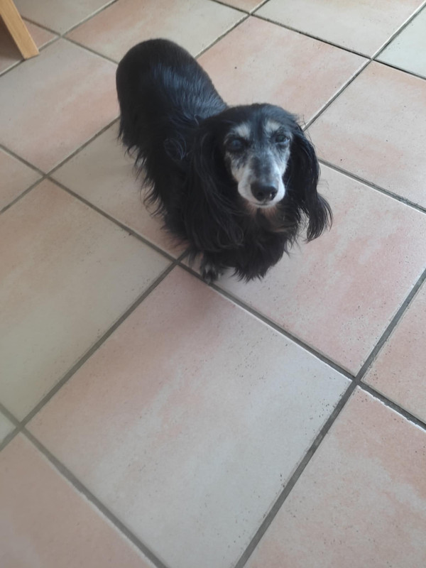 Messenger_creation_EC622EFB-F46E-4E28-9307-A6813EC33CD6