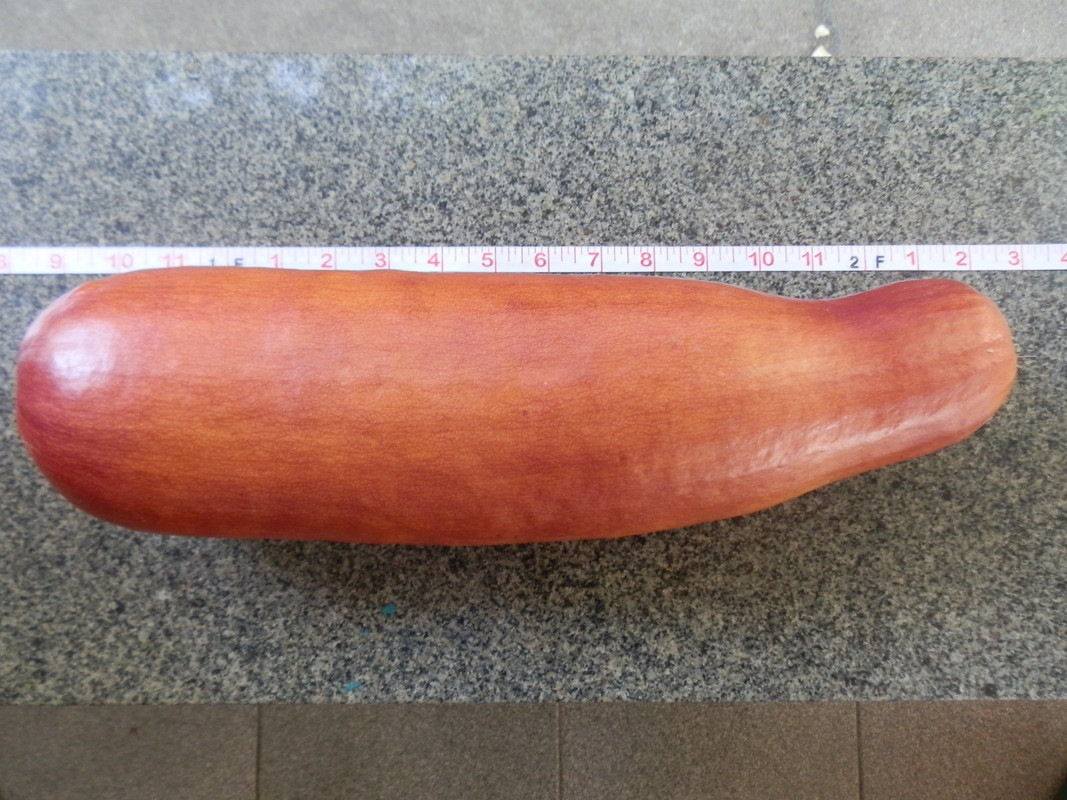 Crua Harvest 2014 (11)