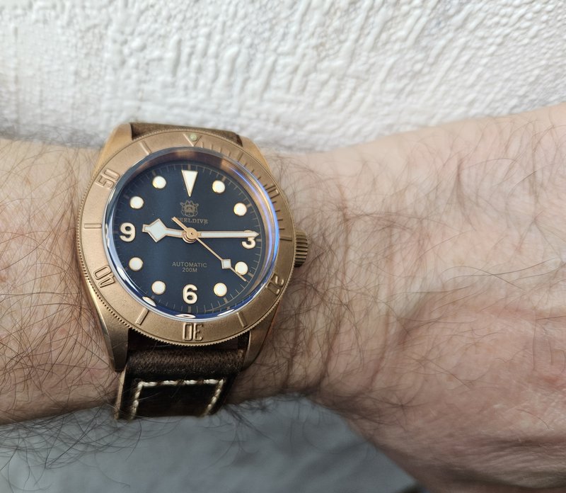Le club des heureux propriétaires décomplexés de montres "hommage" - tome 9 - Page 23 20250309-091423