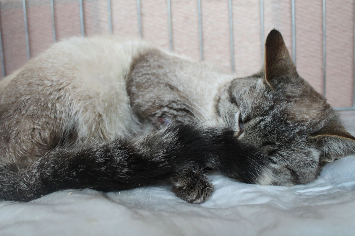 1273254E-6770-42E1-9FFA-56C77EAFD679