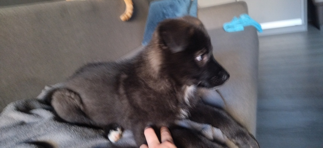 394D36E2-5EE1-4536-B349-EF53253B97D9