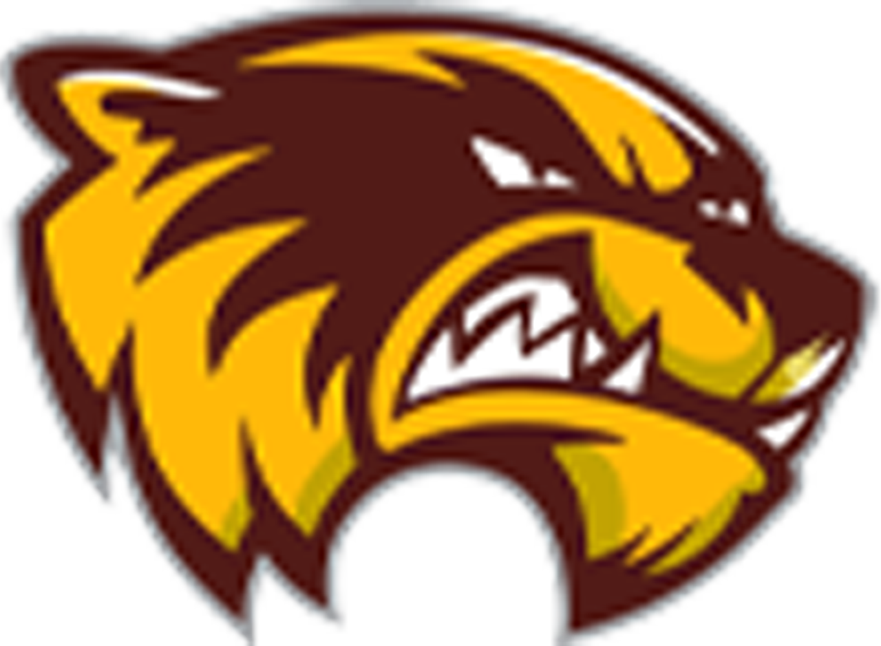 Tolleson logo