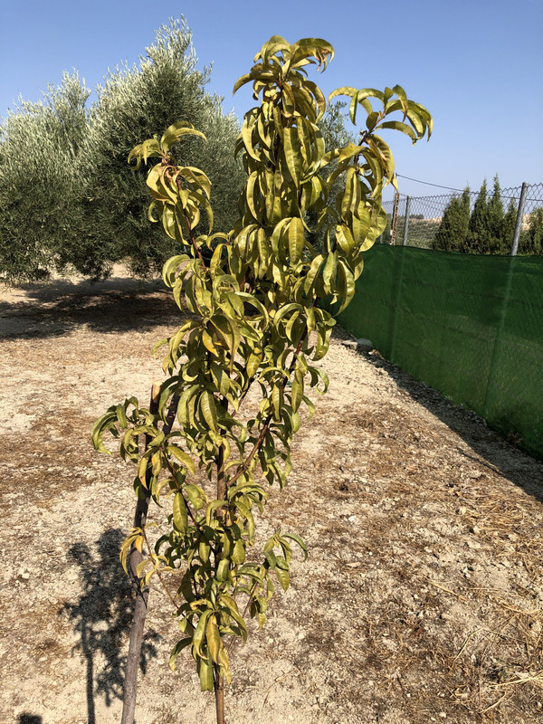 14A7A1E9-22B5-4297-9B75-C275ACBDE026