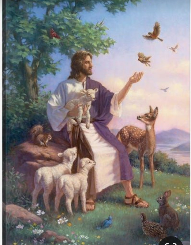 Screenshot_20240105_123401_Pinterest