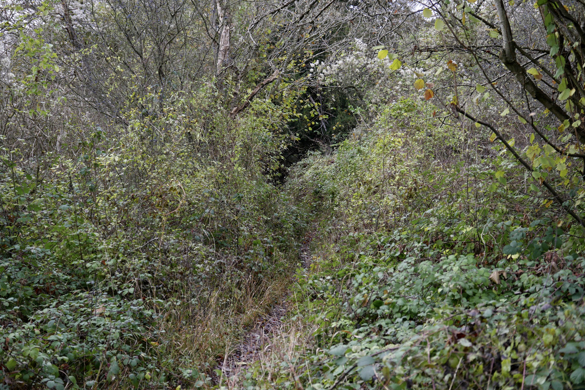 1D7EC8A0-FEEA-4D93-95BB-AE2ED1C107D2