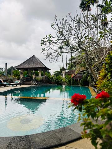 6 Aviones, 3 barcos y 2 trenes, empezando en Estambul y terminando Kuala Lump - Blogs de Indonesia - TERCERA PARADA: BALI (16)