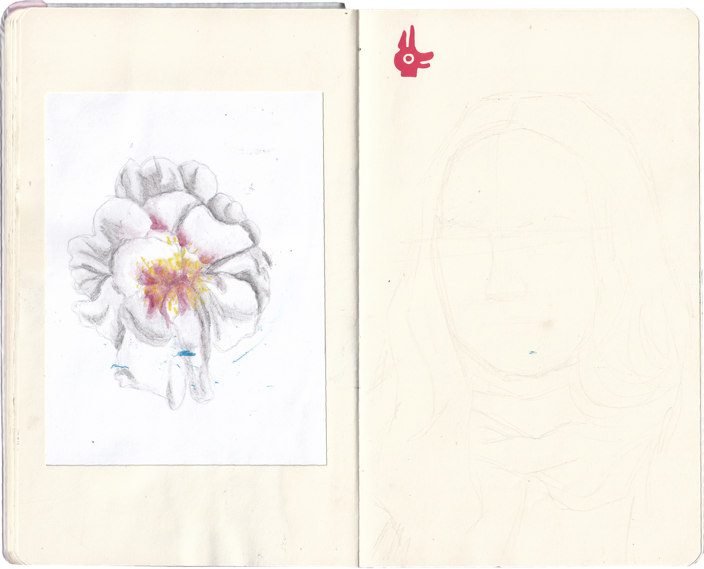 sketchbook-stribrny-23.png