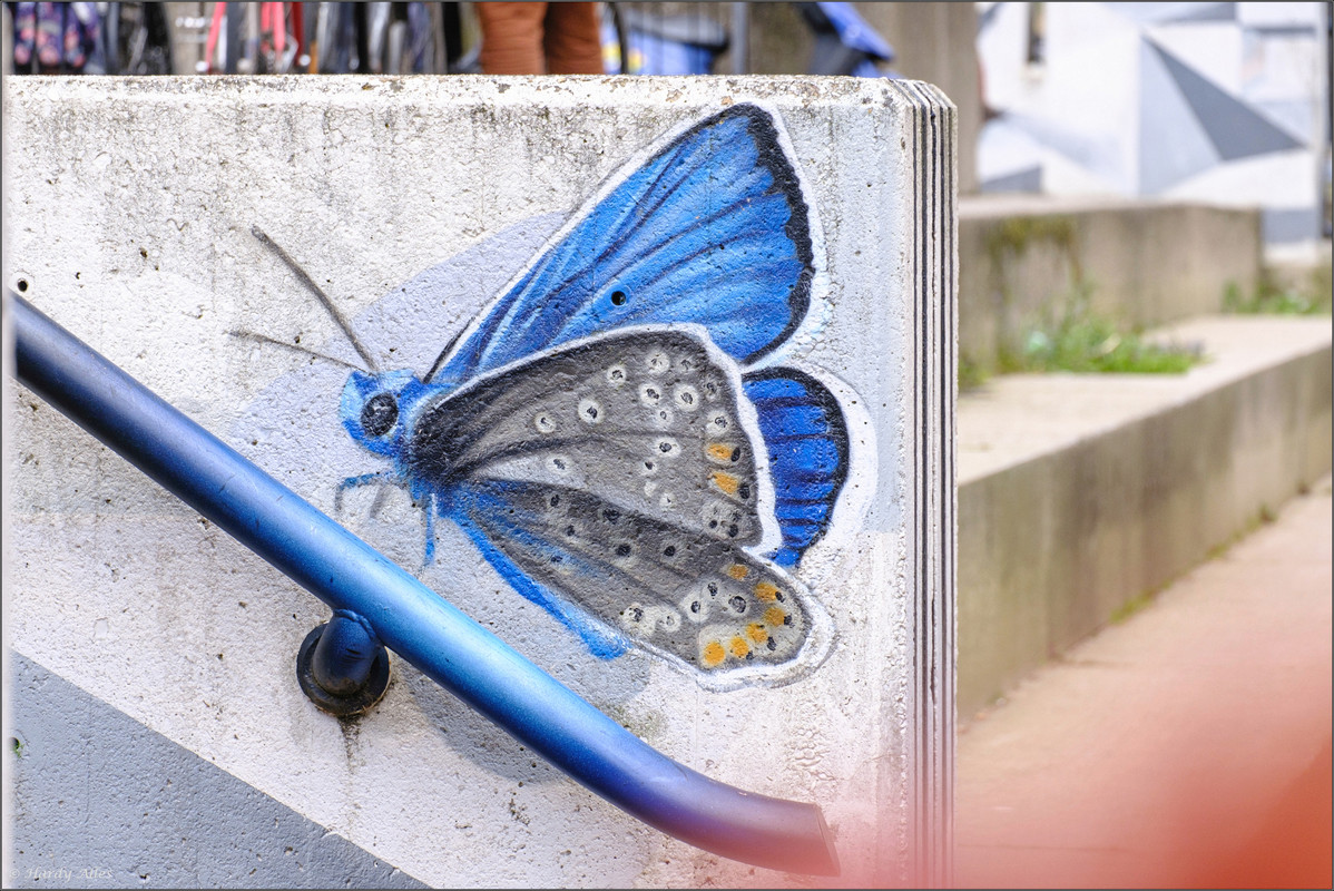 XT4F4140 2023 De Haan Knokke ERWZ FB