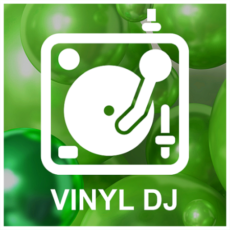 VA - Vinyl Dj 2020 Magnetic Moods (2020)