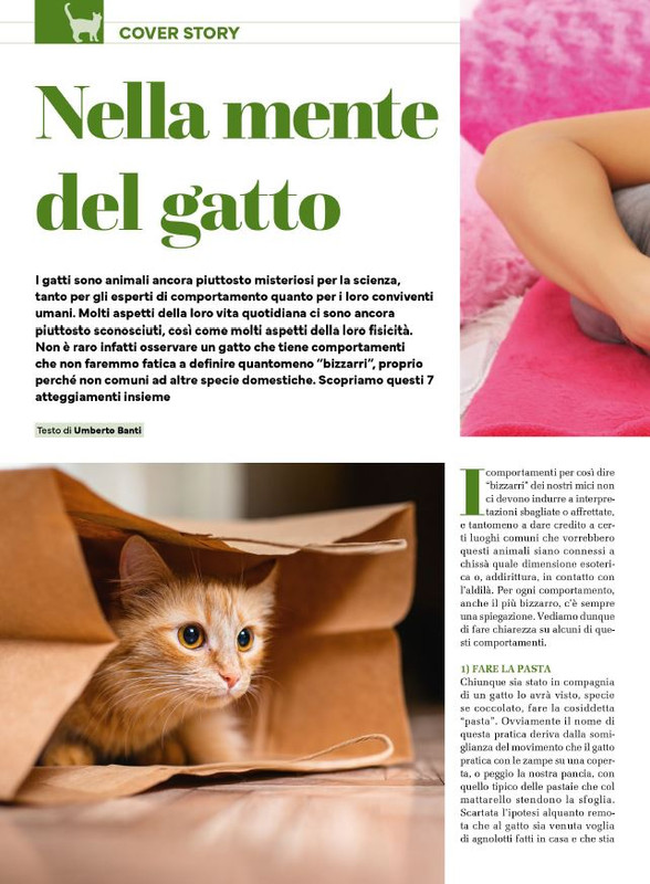 Ga Ma Feb-Mar 2025 (1)