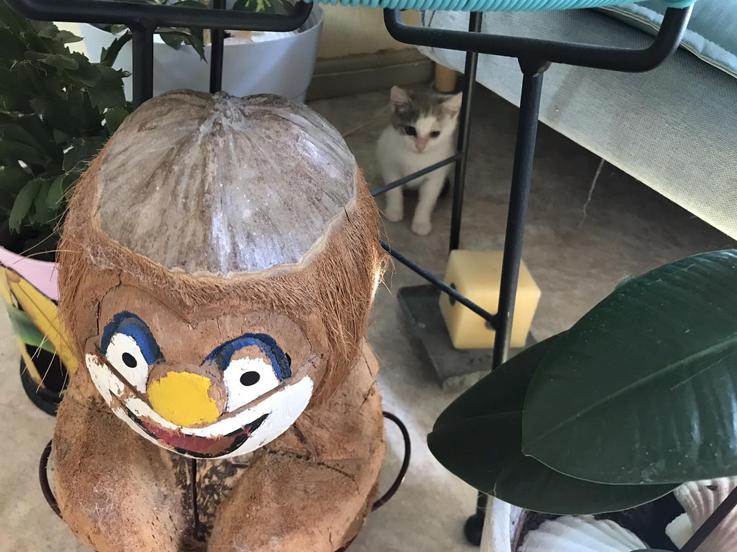 9746085B-19DF-4C92-BE74-3655E3BCE114