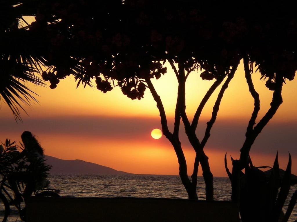 photo 32 2025 12 24 16 16 39