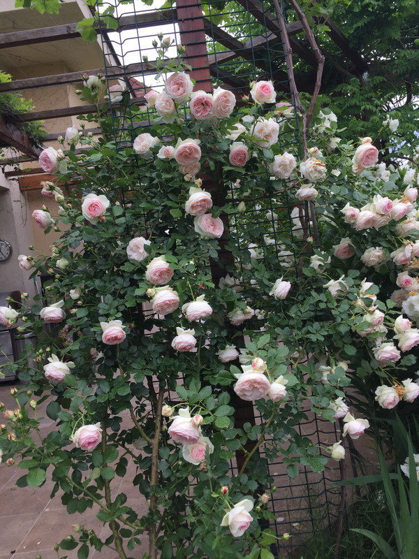 EF1344B6-3B73-4166-A521-2C55D933779A