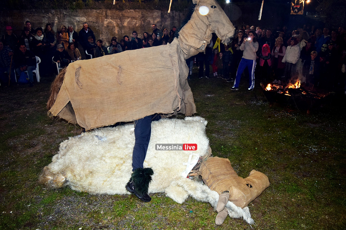 ελαιοχωριDSC_0670