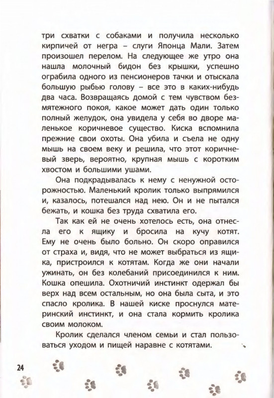 2019-page-0028