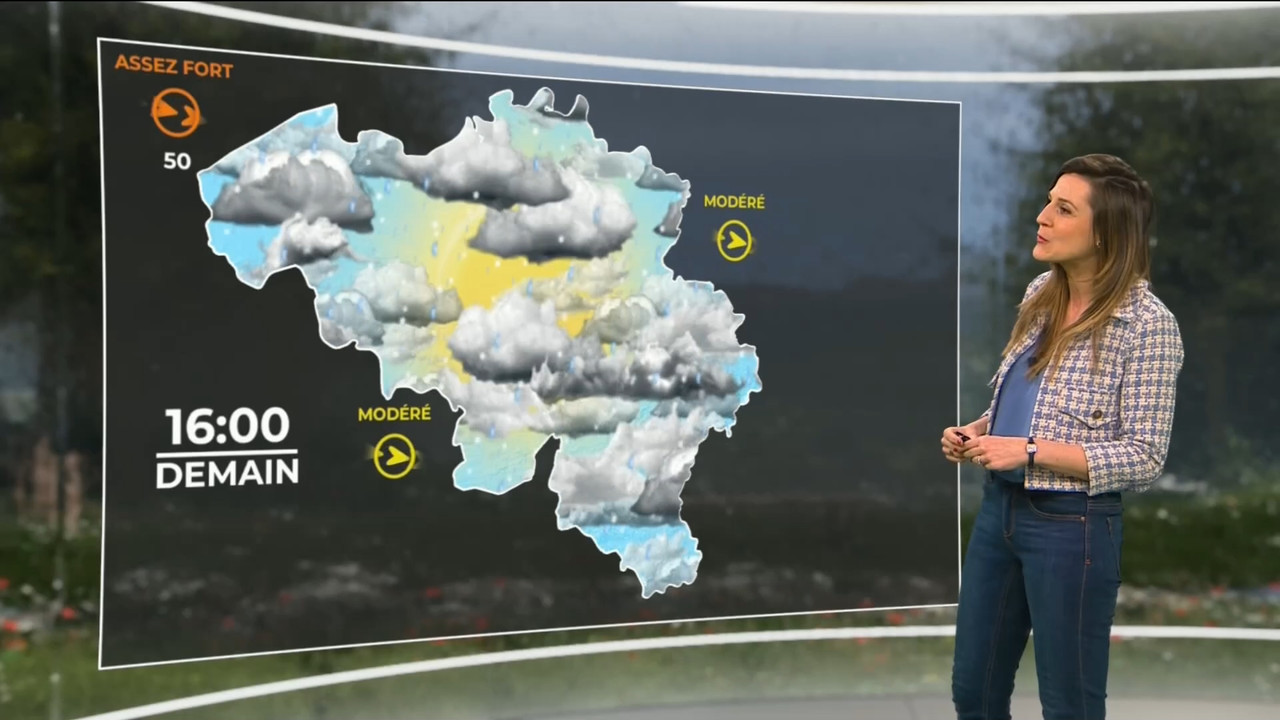 03.13 - 11.45.00 - Contacts. Verkeerstips.ts_snapshot_15.27.751