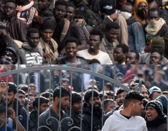 
Warum sagen manche Menschen, dass linke oder liberale Parteien durch Migration aus Ländern mit hoher Kriminalität der Gesellschaft schaden?