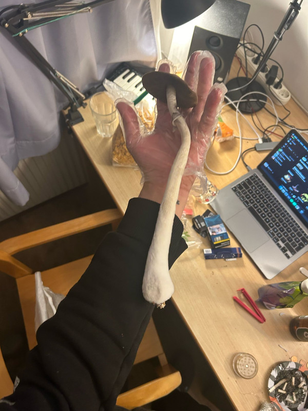 WhatsApp Image 2024-03-09 at 16.16.57