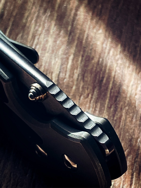 81ABC9BA-1482-476A-8066-F1E6BC3D5CE5