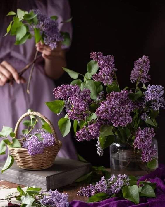 340488988_637420818399338_1308091992896415804_n