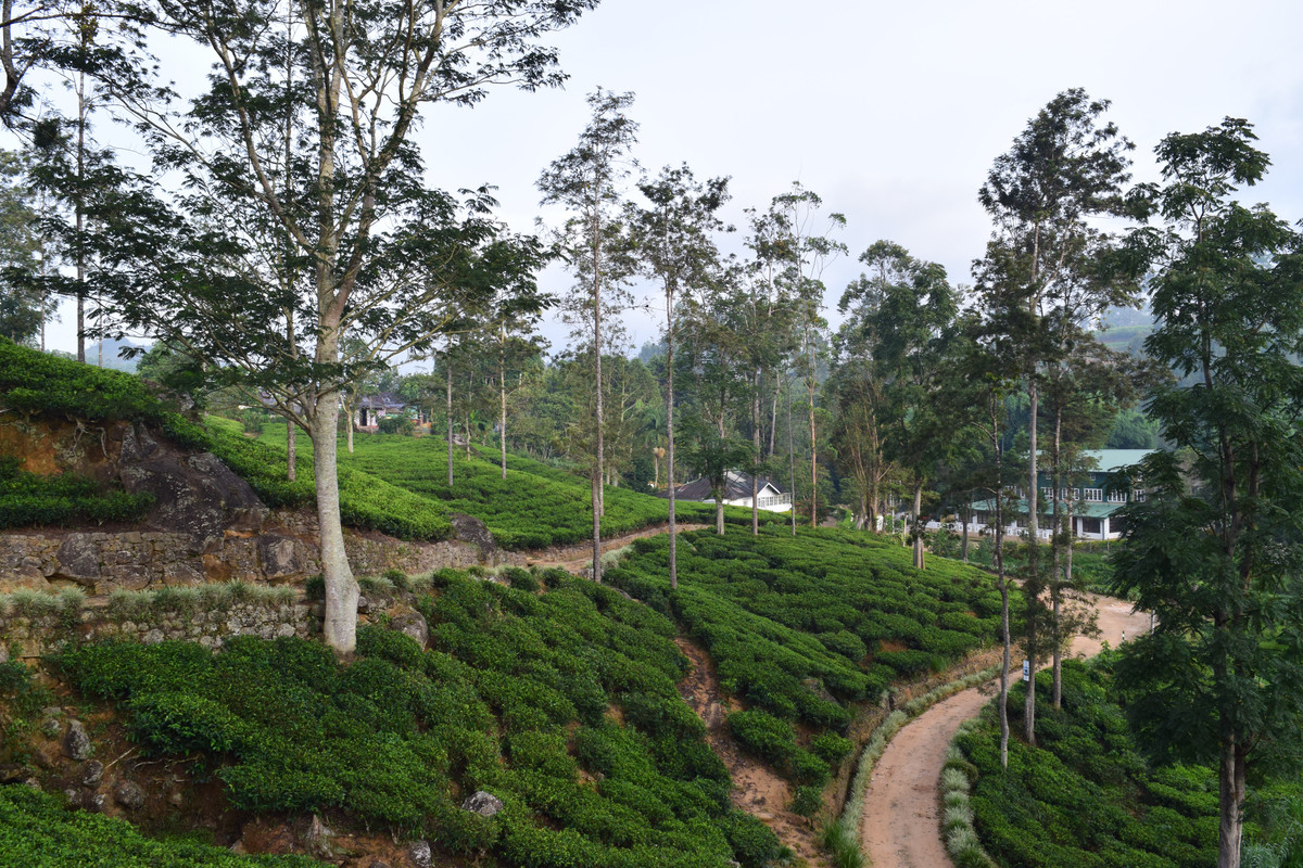 16725-D24-92-B8-4174-BDE4-D1-B4436-E0-D4